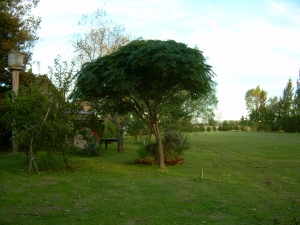 Paraiso Sombrilla (Terr&oacute;n 12 Lts)